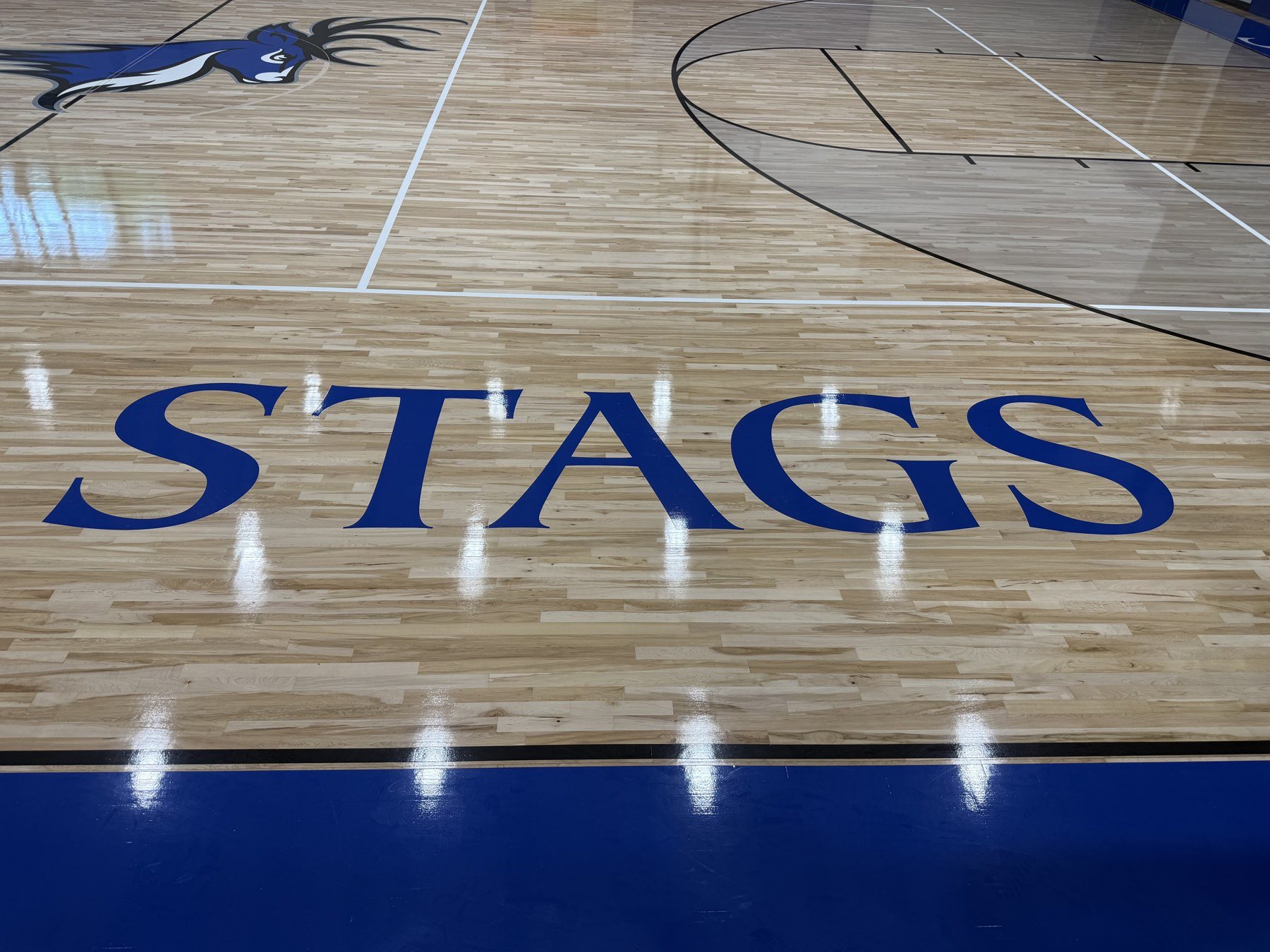 New blue STAGS lettering on the refinished floor