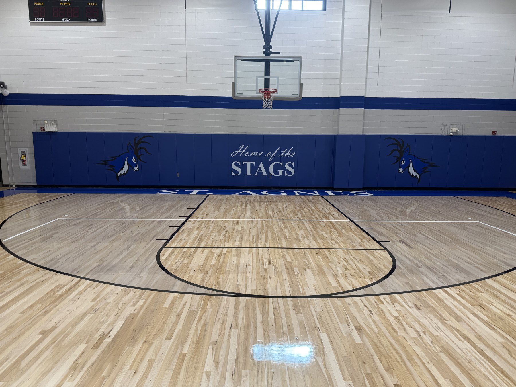 Custom Stags-branded protective wall padding
