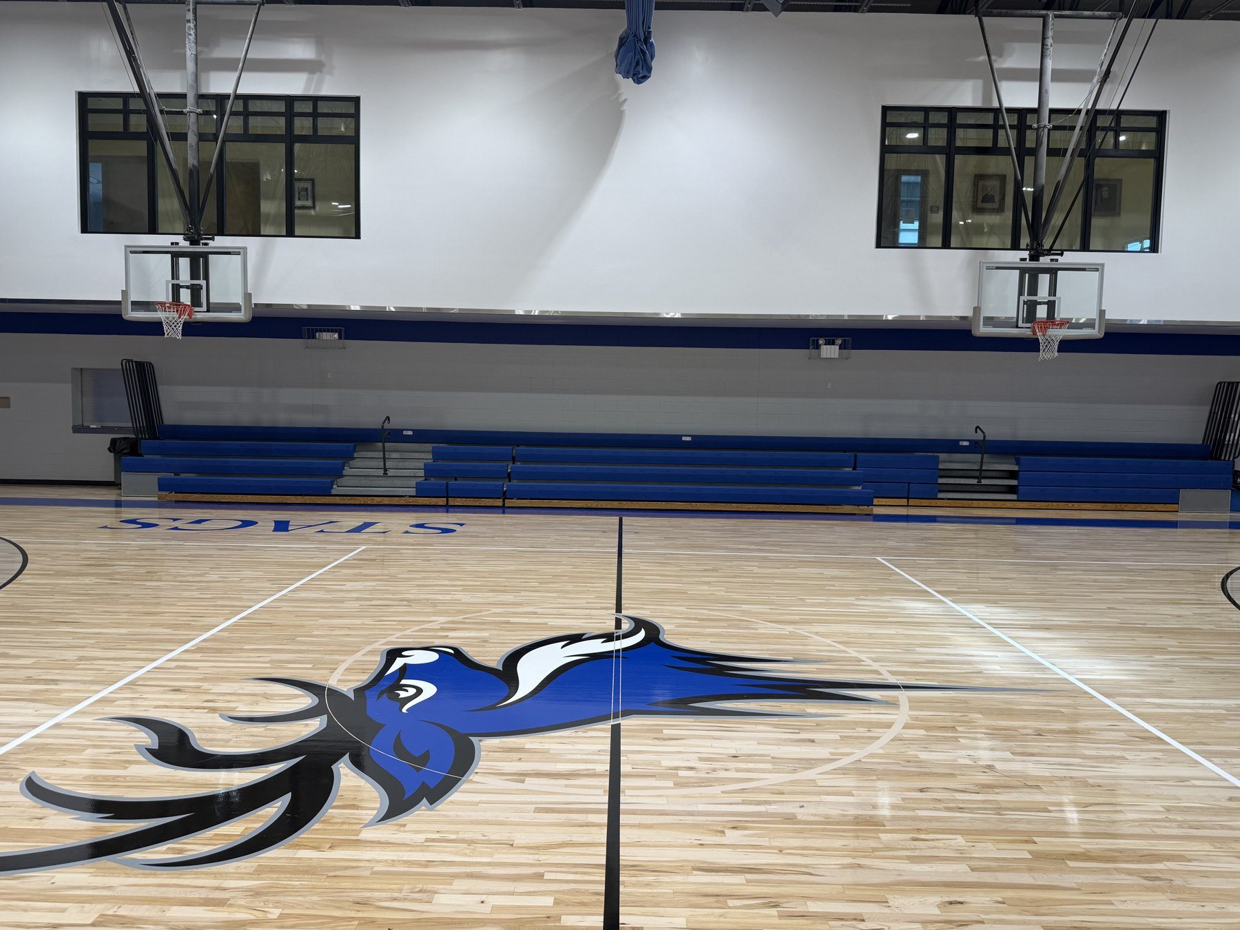 Center-court Stags mascot